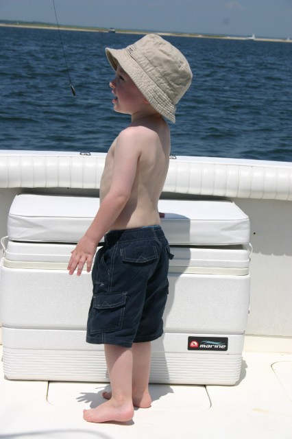 Click for original image 193k 819x1229